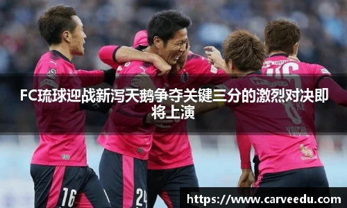 FC琉球迎战新泻天鹅争夺关键三分的激烈对决即将上演
